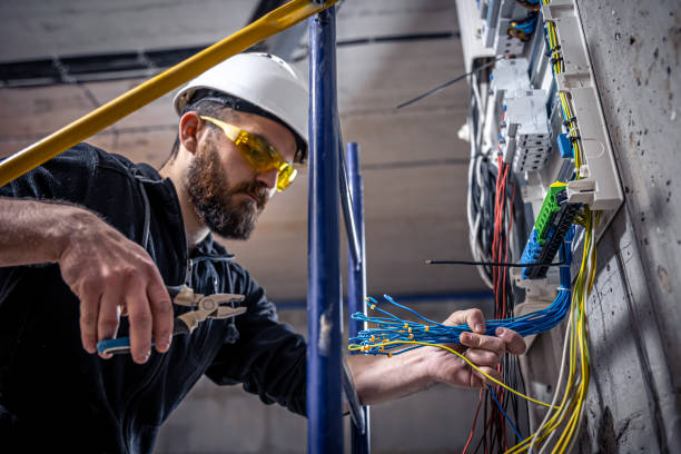 Best Local Electrician Companies  in South Sarasota, FL