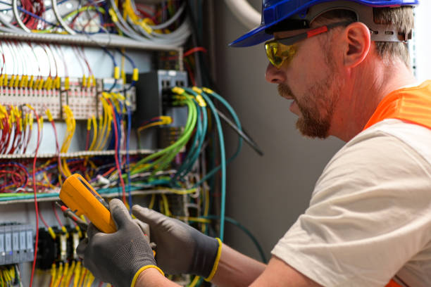 Best Electric Panel Repair  in South Sarasota, FL
